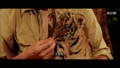 虎兄虎弟剧照的剧照