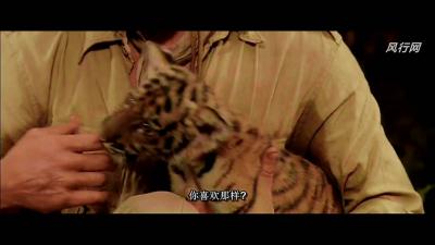 虎兄虎弟剧照的剧照