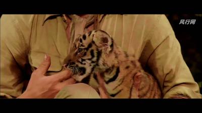 虎兄虎弟剧照的剧照