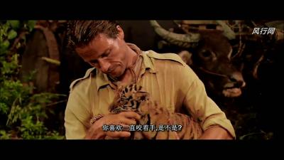 虎兄虎弟剧照的剧照