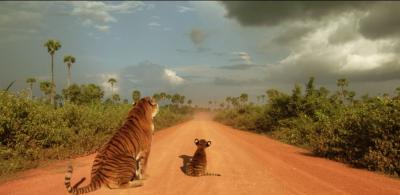 虎兄虎弟剧照的剧照