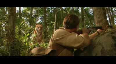 虎兄虎弟剧照的剧照