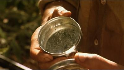 虎兄虎弟剧照的剧照