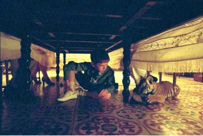 虎兄虎弟剧照的剧照