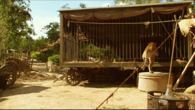 虎兄虎弟剧照的剧照