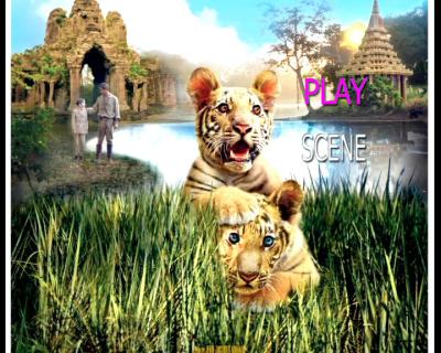 虎兄虎弟剧照的剧照