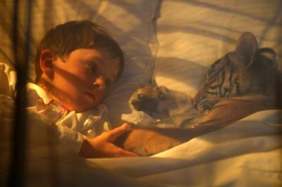 虎兄虎弟剧照的剧照