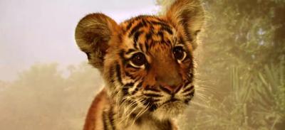 虎兄虎弟剧照的剧照