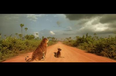 虎兄虎弟剧照的剧照