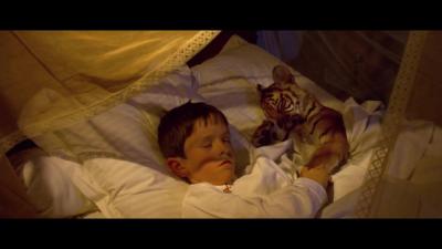 虎兄虎弟剧照的剧照