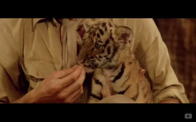 虎兄虎弟剧照的剧照