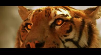 虎兄虎弟剧照的剧照