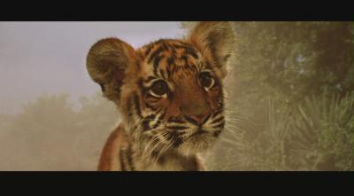 虎兄虎弟剧照的剧照