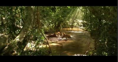 虎兄虎弟剧照的剧照