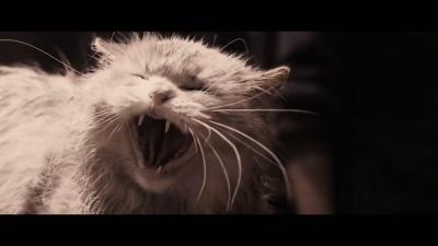 艾利之书剧照的剧照