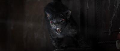 鸡皮疙瘩2：闹鬼万圣节剧照的剧照