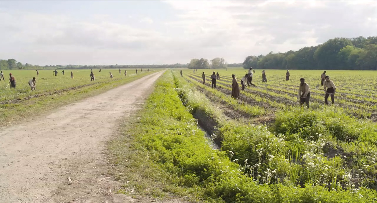 琼斯的自由国度剧照的剧照