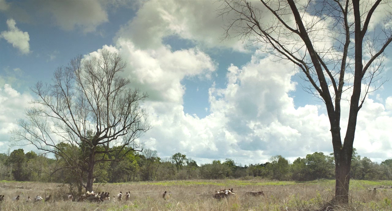 琼斯的自由国度剧照的剧照