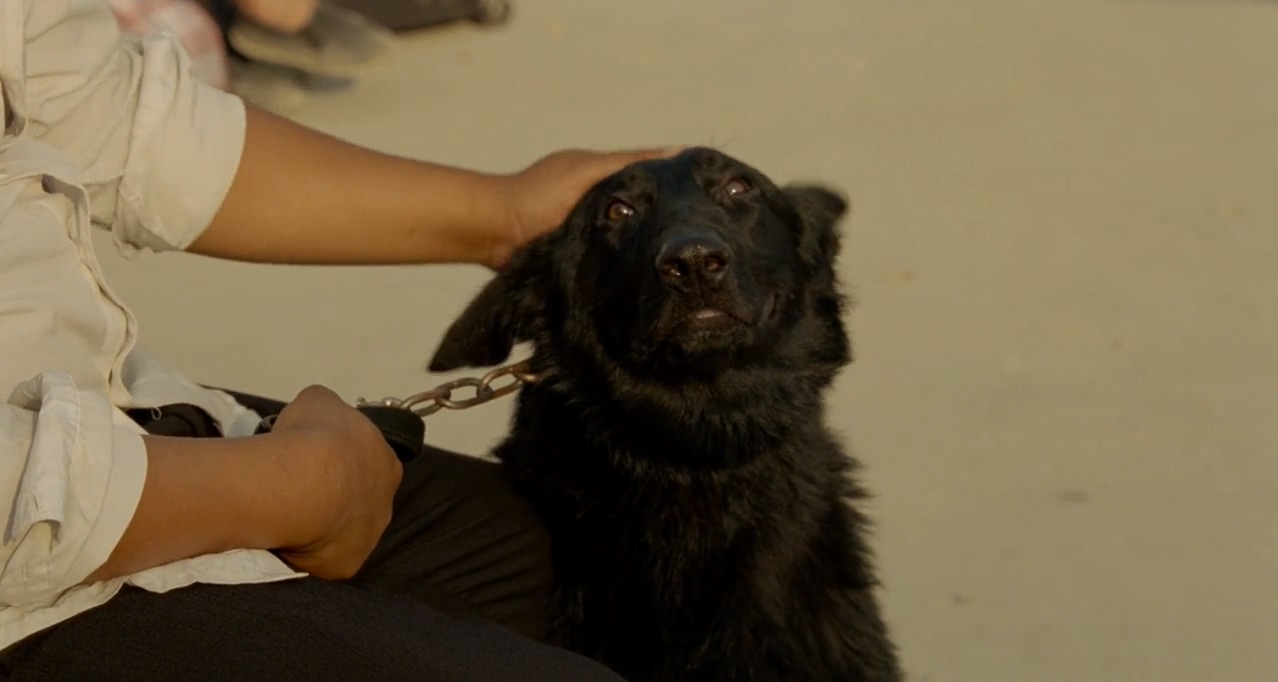 江湖儿女剧照的剧照