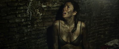 酒吧剧照的剧照