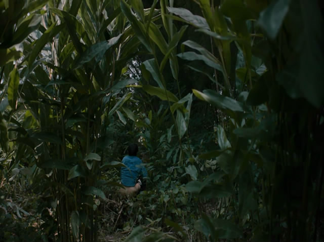 幻梦墓园剧照的剧照