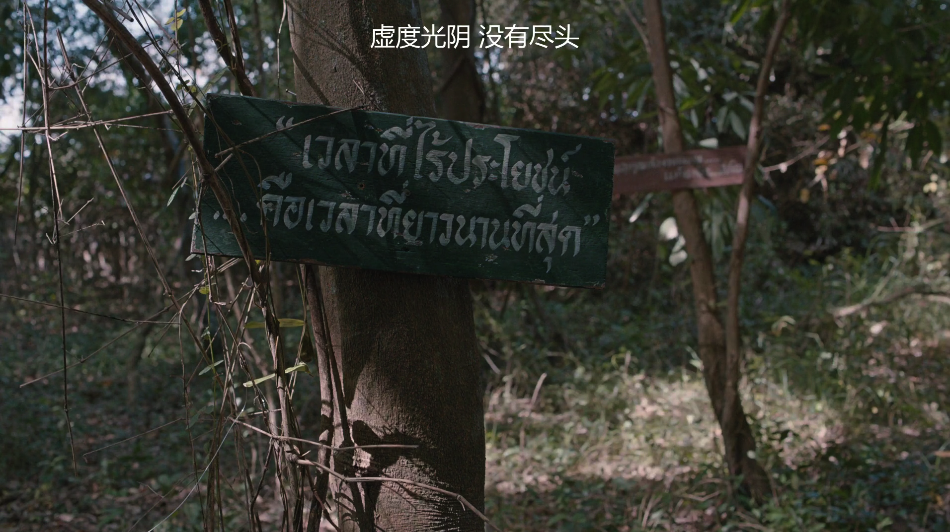 幻梦墓园剧照的剧照