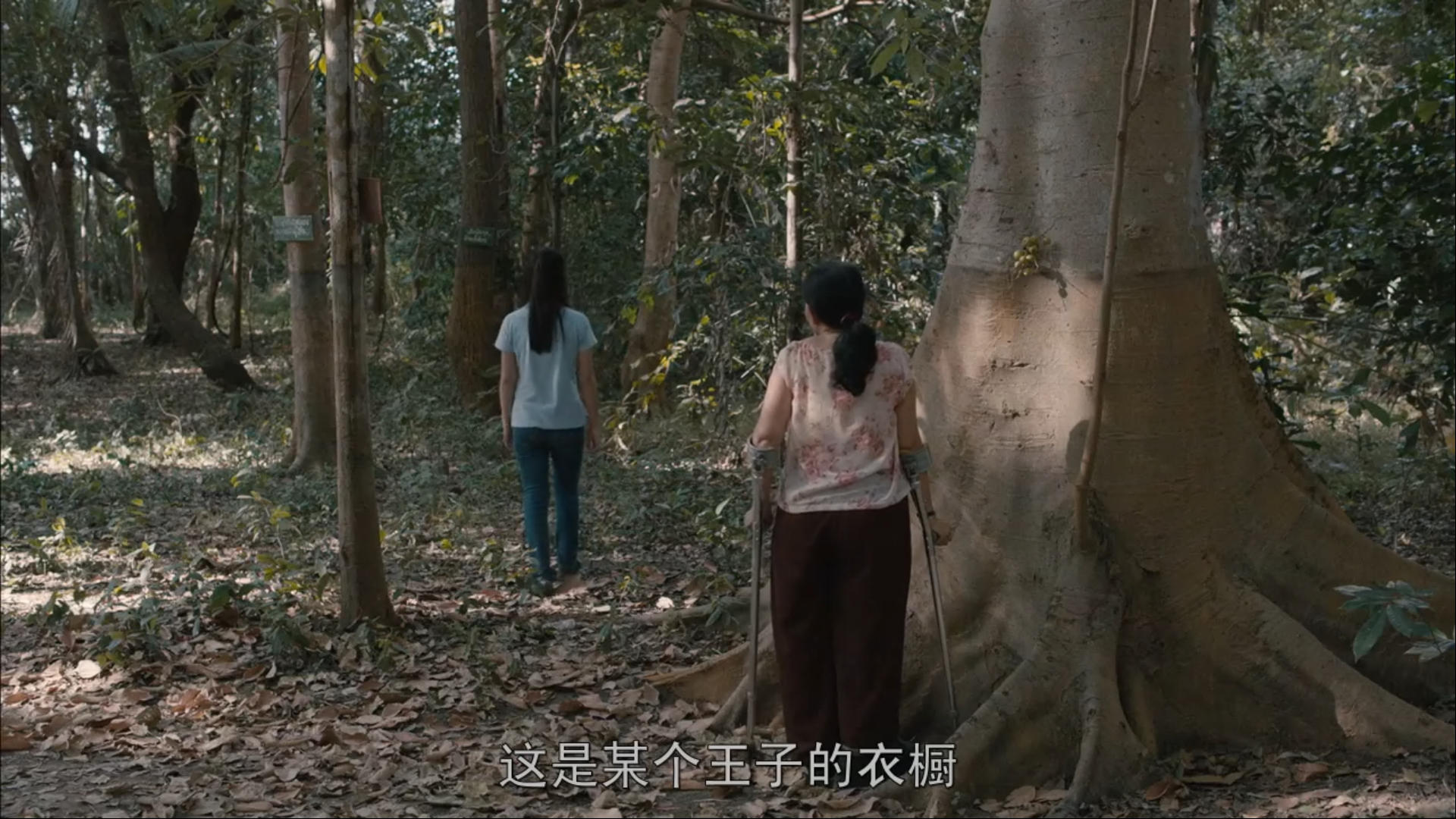 幻梦墓园剧照的剧照