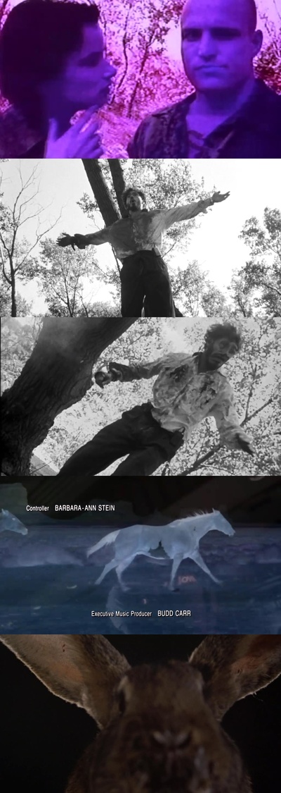 天生杀人狂剧照的剧照