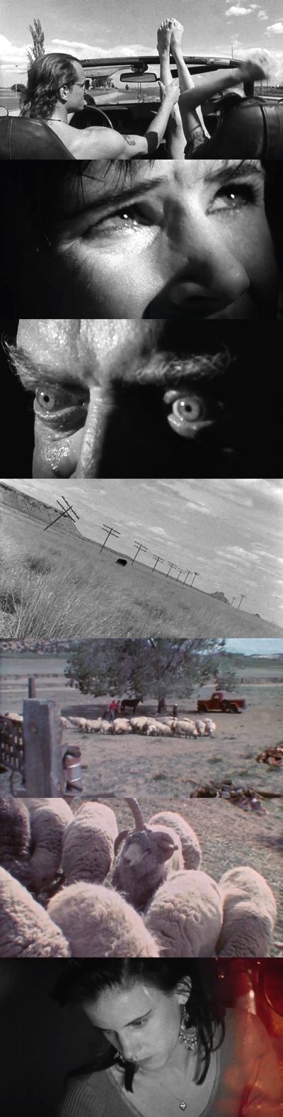 天生杀人狂剧照的剧照