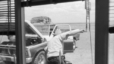 天生杀人狂剧照的剧照