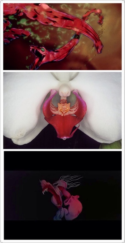 天生杀人狂剧照的剧照