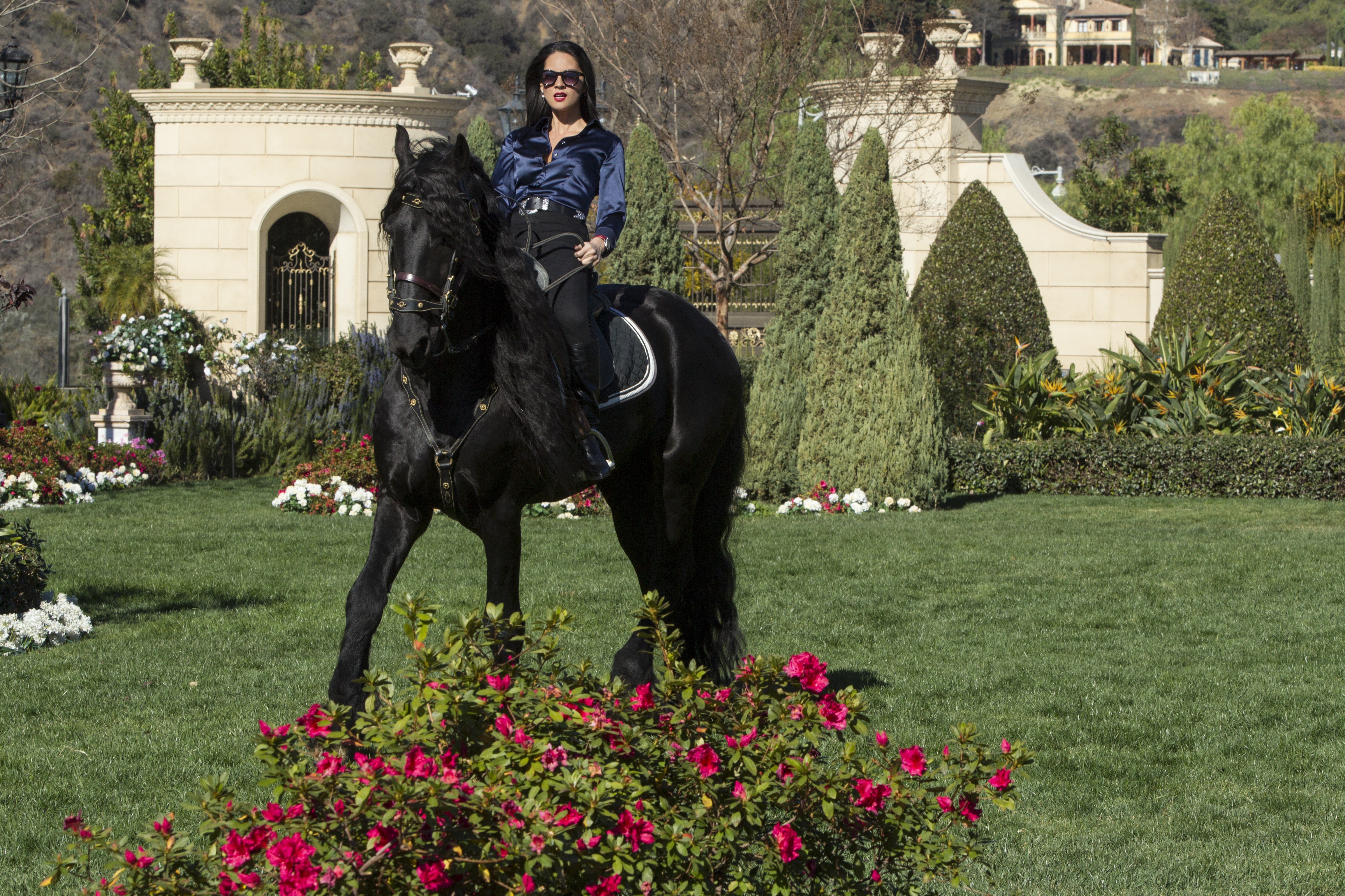 贵族大盗剧照的剧照