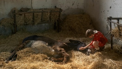 木偶奇遇记剧照的剧照
