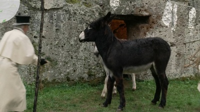 木偶奇遇记剧照的剧照