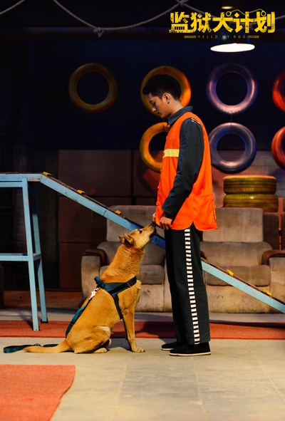 监狱犬计划剧照的剧照