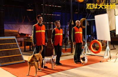 监狱犬计划剧照的剧照