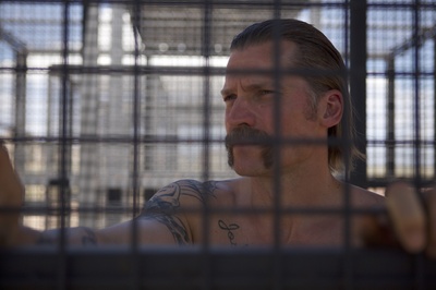 一锤定音剧照的剧照