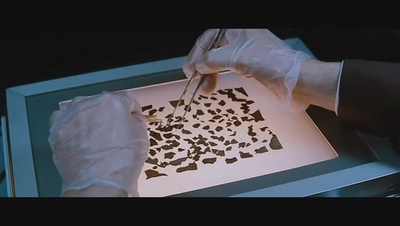 致命伴旅剧照的剧照