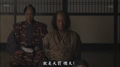 影武者德川家康剧照的剧照