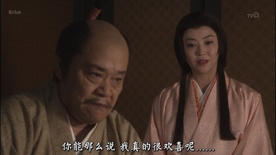 影武者德川家康剧照的剧照