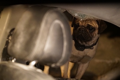 隧道剧照的剧照