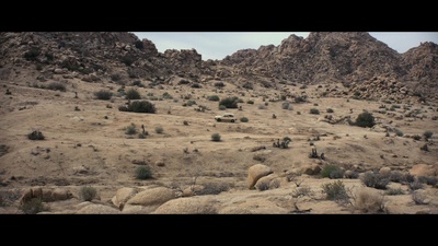 赌棍剧照的剧照