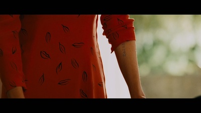 不死鸟剧照的剧照