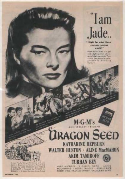 龙种剧照的剧照