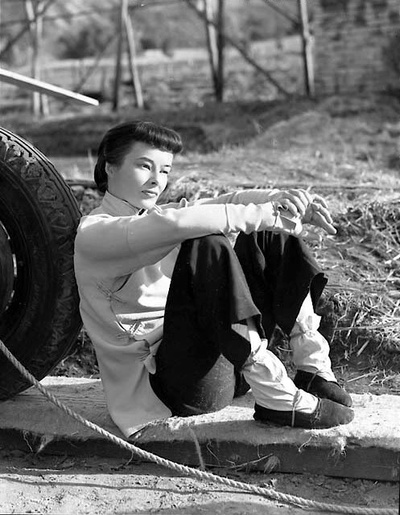 龙种剧照的剧照