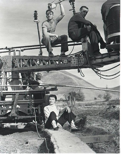 龙种剧照的剧照