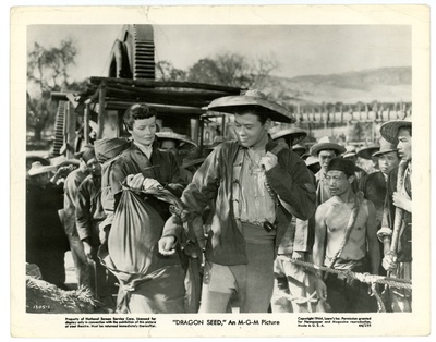 龙种剧照的剧照