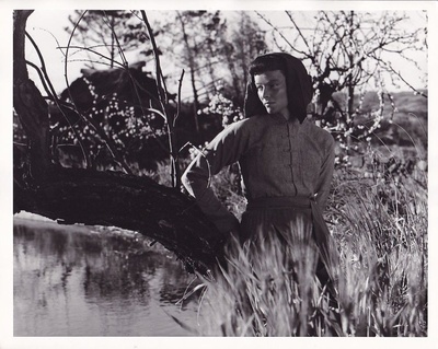 龙种剧照的剧照