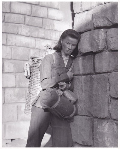 龙种剧照的剧照