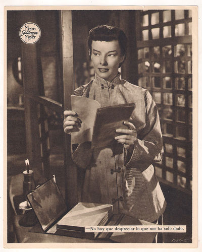 龙种剧照的剧照